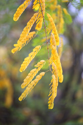 Similar image 10471557