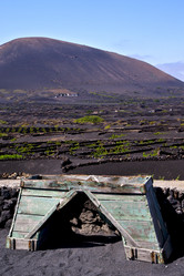 Similar image 10471568