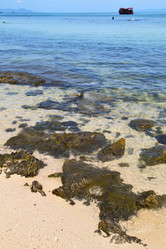 Similar image 10471572