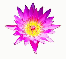 Similar image 10471633