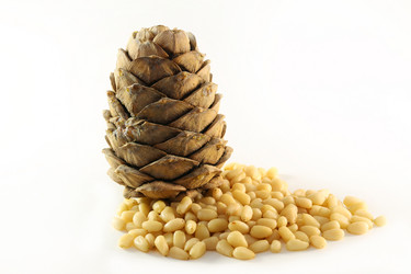 Similar image 10471680