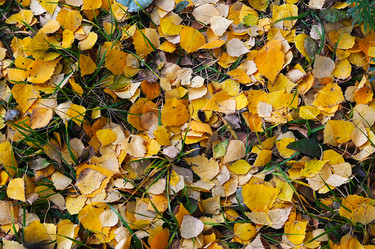 Similar image 10471813