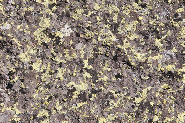 Similar image 10471818