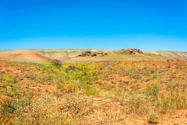 Similar image 10471916