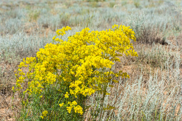 Similar image 10471943