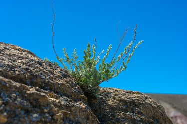 Similar image 10471944