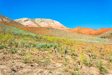 Similar image 10471946