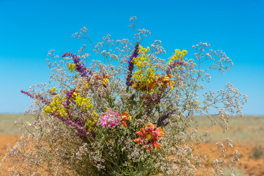 Similar image 10471998