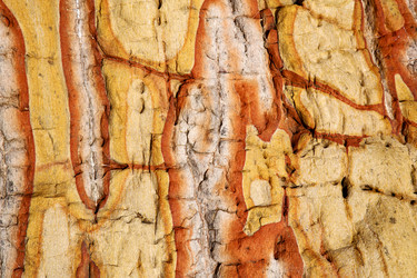 Similar image 10472041