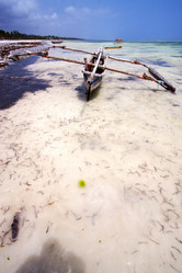 Similar image 10472042