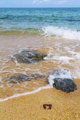 Similar image 10472065