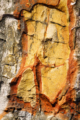 Similar image 10472078