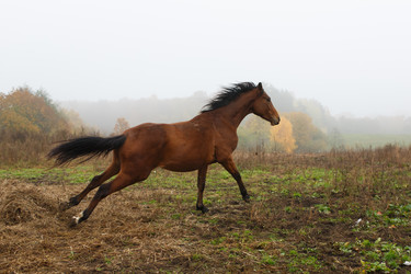 Similar image 10472247