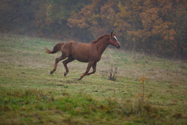 Similar image 10472251