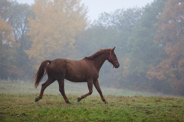 Similar image 10472252