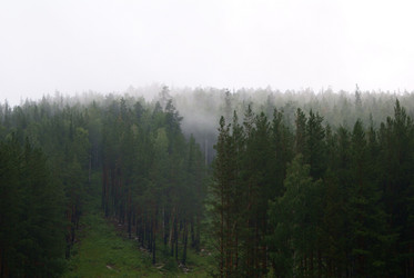 Similar image 10472922