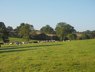 Similar image 10473211