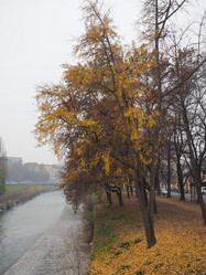 Similar image 10473212