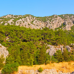 Similar image 10473214