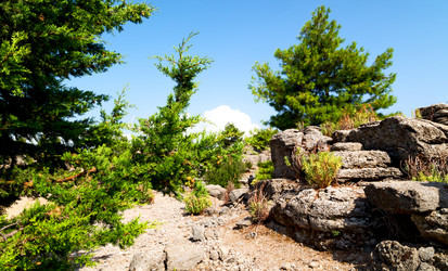 Similar image 10473219