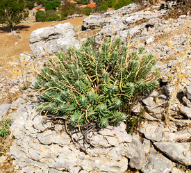 Similar image 10473220