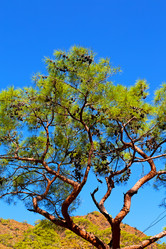 Similar image 10473227