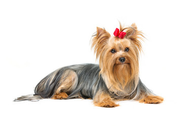 Similar image 10473263