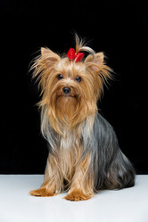 Similar image 10473274