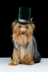 Similar image 10473275