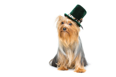 Similar image 10473277