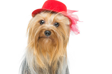 Similar image 10473278