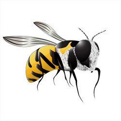 Similar image 10473502