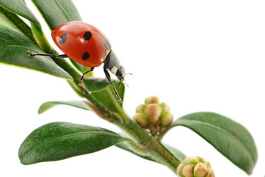 Similar image 10473763