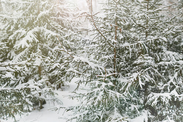 Similar image 10473806