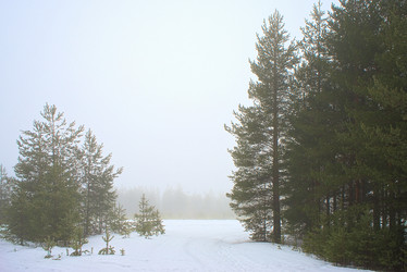 Similar image 10474248