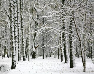 Similar image 10474436