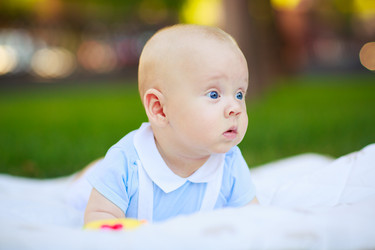 Similar image 10474582