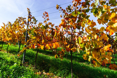 Similar image 10474868