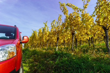 Similar image 10474870