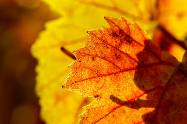 Similar image 10474872