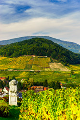 Similar image 10474877