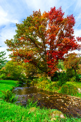 Similar image 10474887