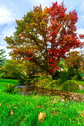 Similar image 10474888