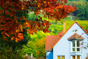 Similar image 10474894