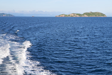 Similar image 10474924