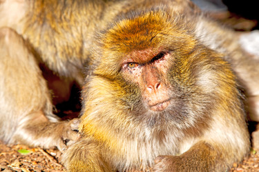 Similar image 10475055