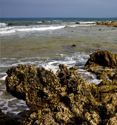 Similar image 10475065