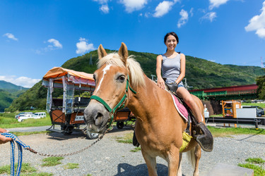 Similar image 10475232