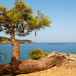 Similar image 10475265