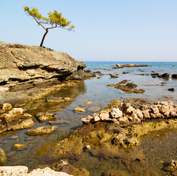 Similar image 10475266